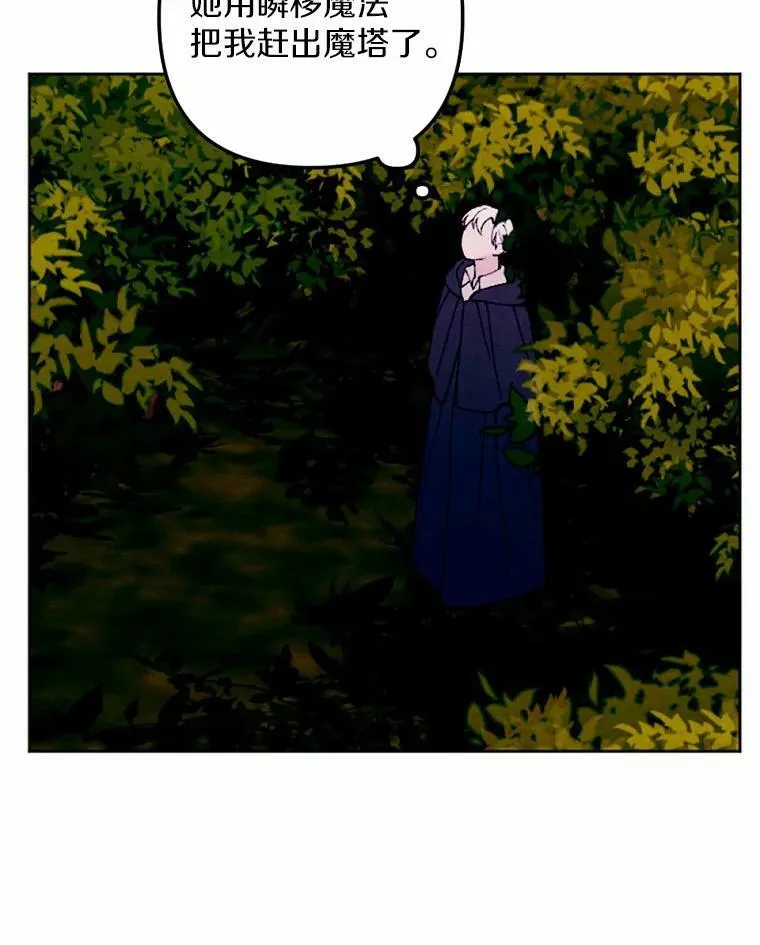 40.邪恶的魔塔主 第71页