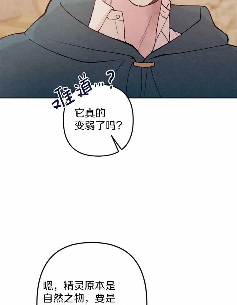 40.邪恶的魔塔主 第86页