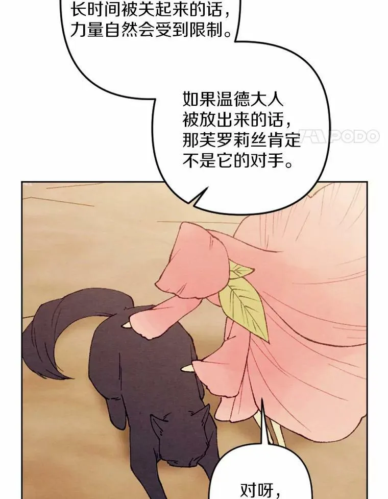 40.邪恶的魔塔主 第87页