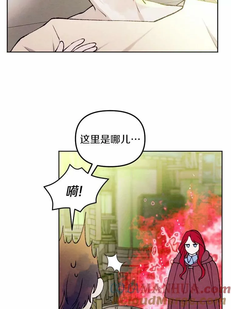 42.中计了 第29页