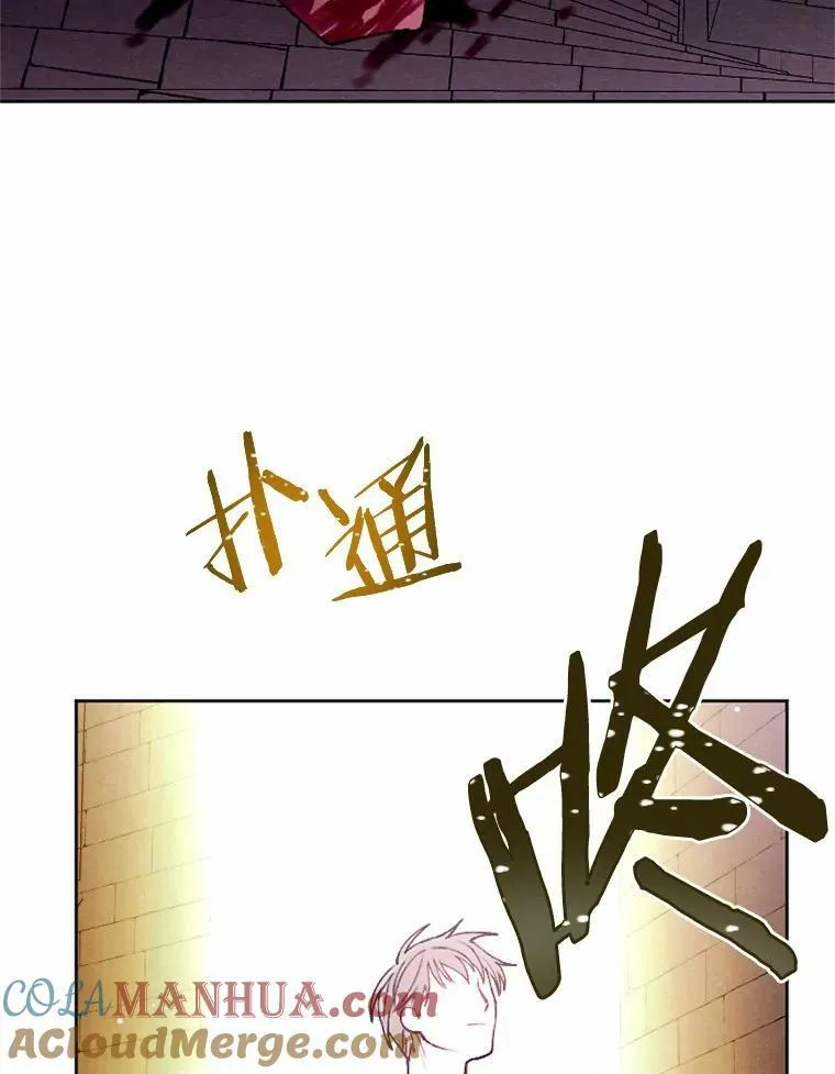 42.中计了 第105页