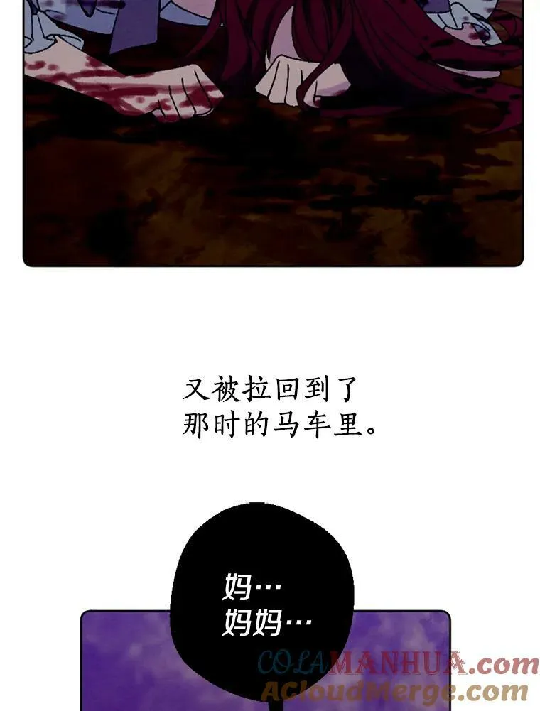 43.枫树林与父亲 第5页