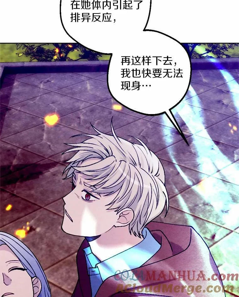 43.枫树林与父亲 第21页