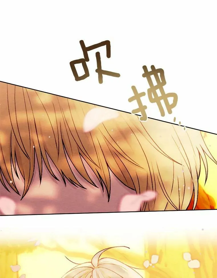 43.枫树林与父亲 第48页