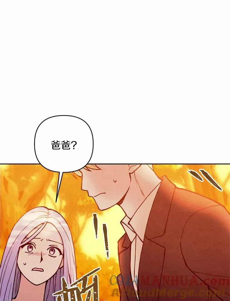 43.枫树林与父亲 第85页