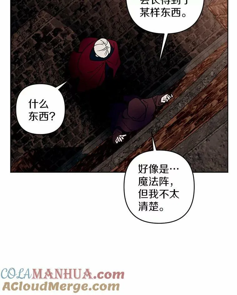 51.叛乱军首领 第49页