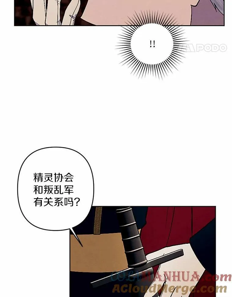 51.叛乱军首领 第52页
