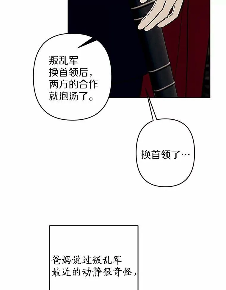 51.叛乱军首领 第53页