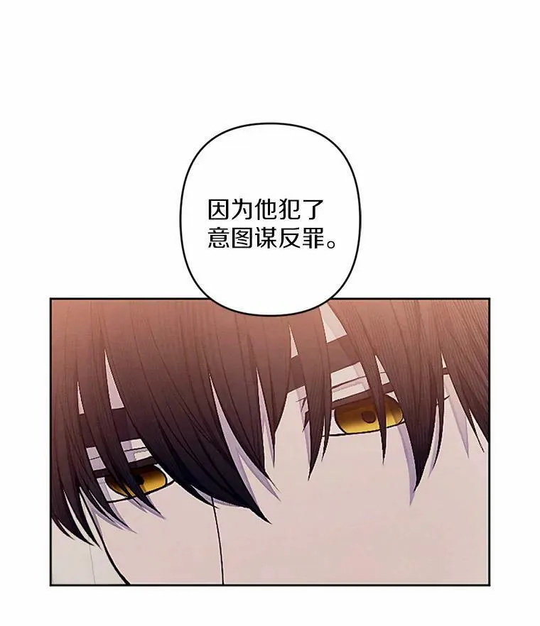 51.叛乱军首领 第86页