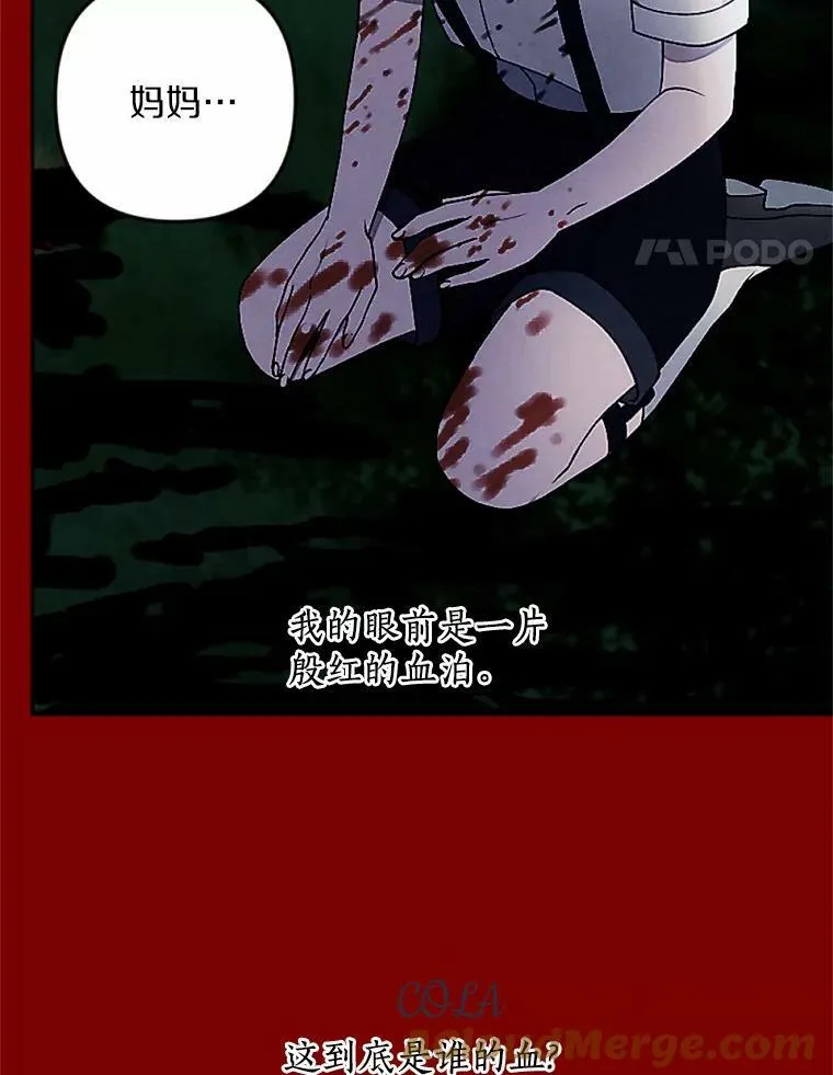 54.被掩盖的真相 第28页