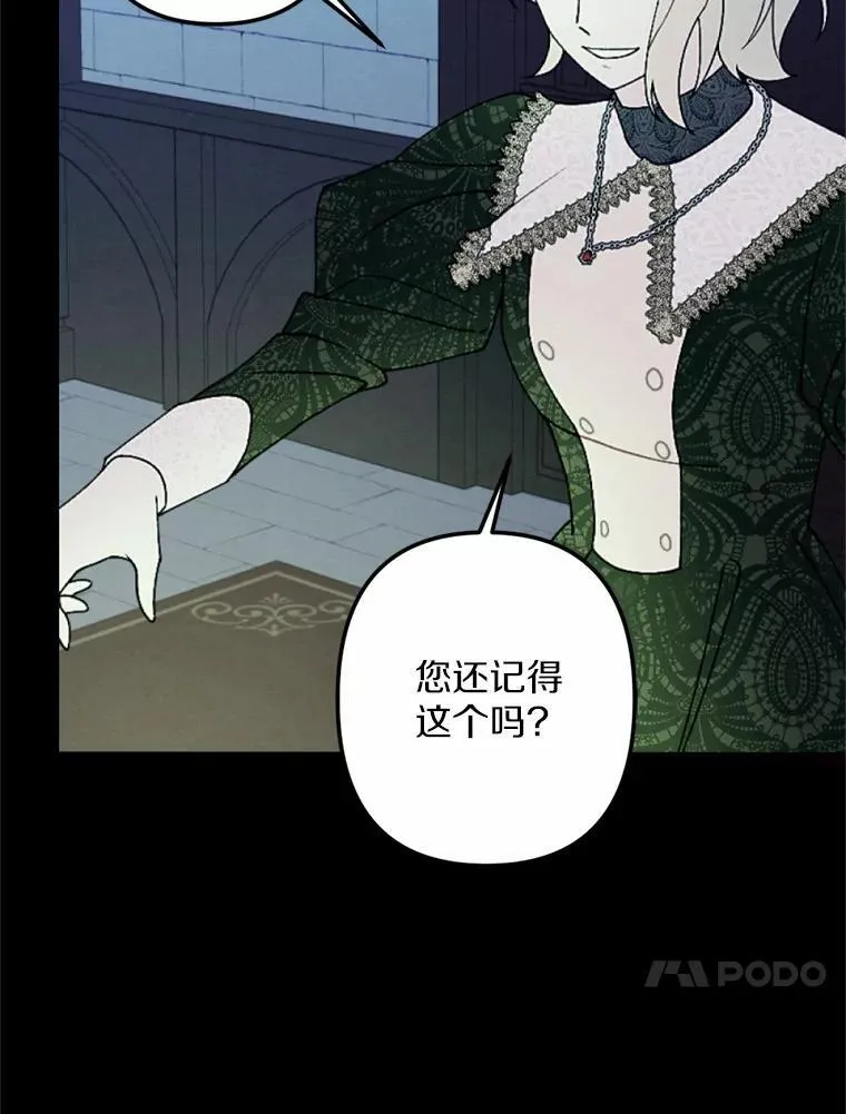 60.精灵石 第66页
