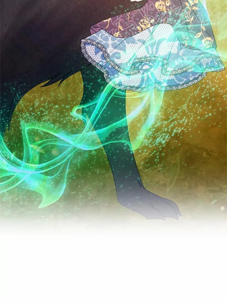 60.精灵石 第71页