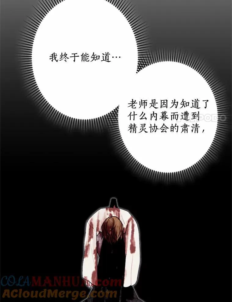 60.精灵石 第109页