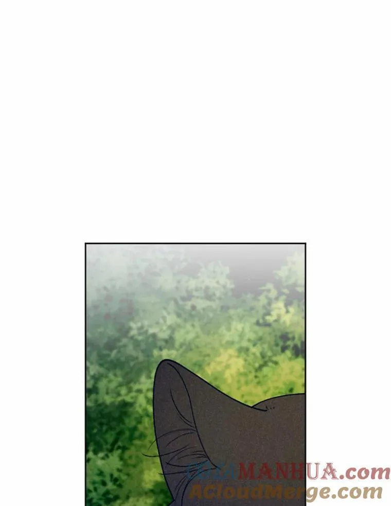 62.真实身份 第61页