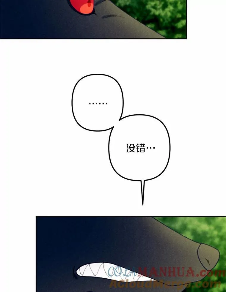 62.真实身份 第81页