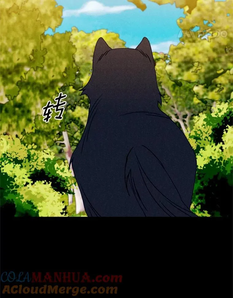 63.我亲爱的爱人 第65页