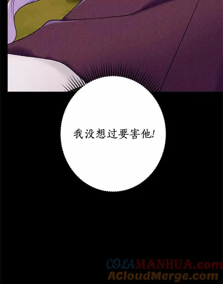65.痛苦的回忆 第97页