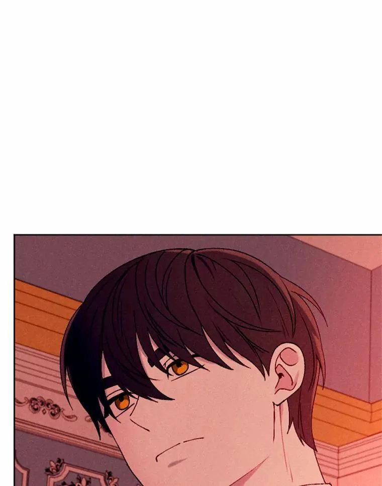 65.痛苦的回忆 第115页
