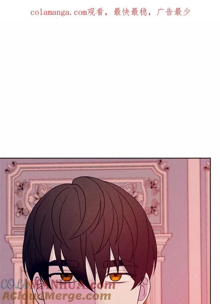 65.痛苦的回忆 第119页