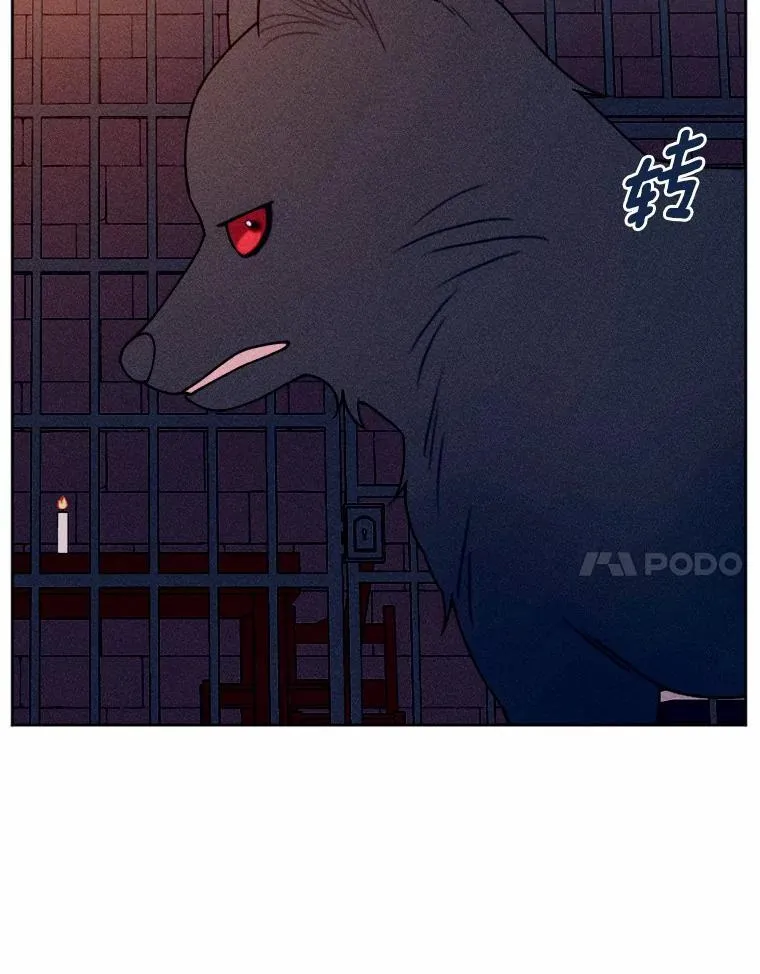74.坦诚 第11页