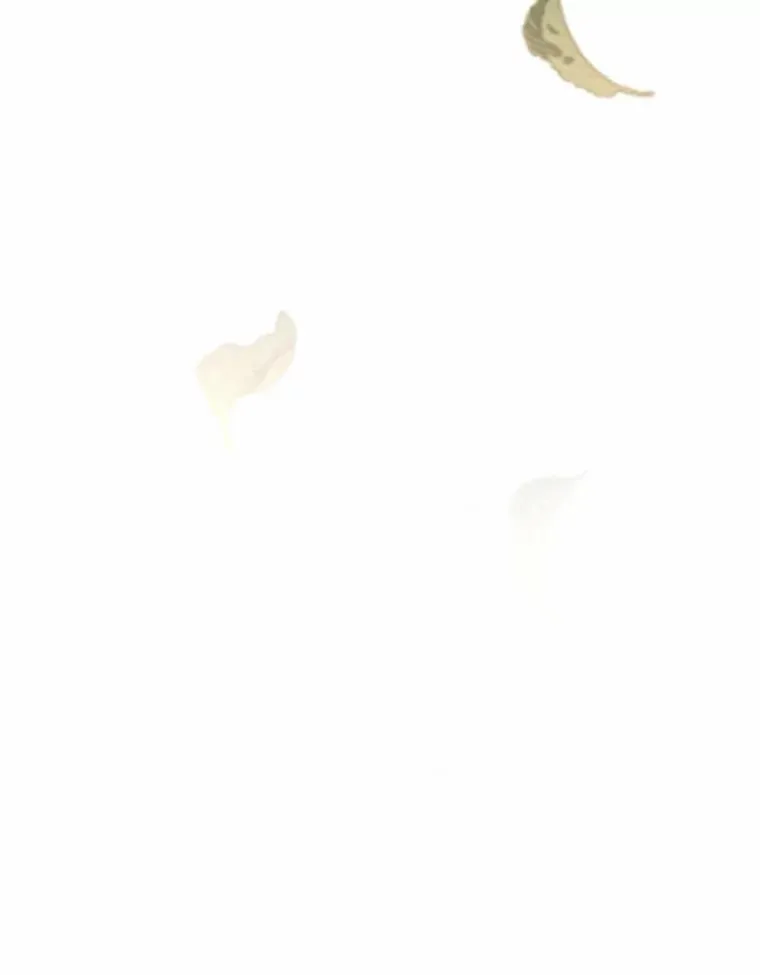 81.执着的那些年 第152页