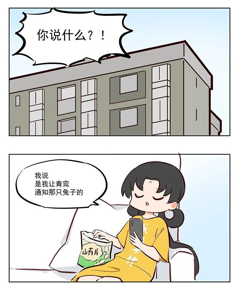 三足乌 你见过这样的快递吗 第6页