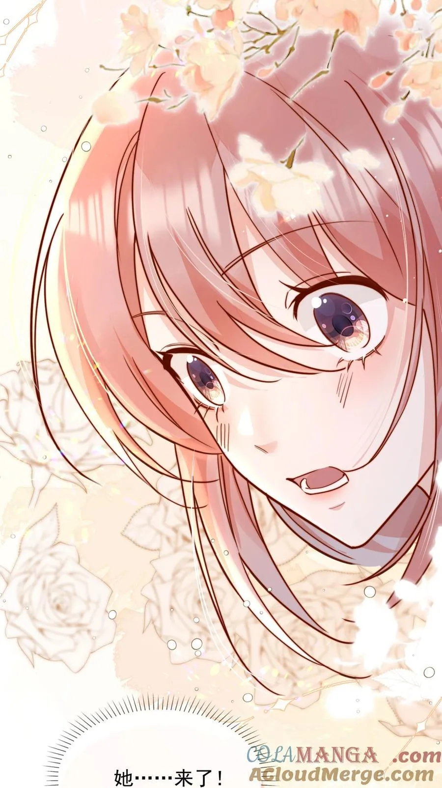 77 烟花 第3页