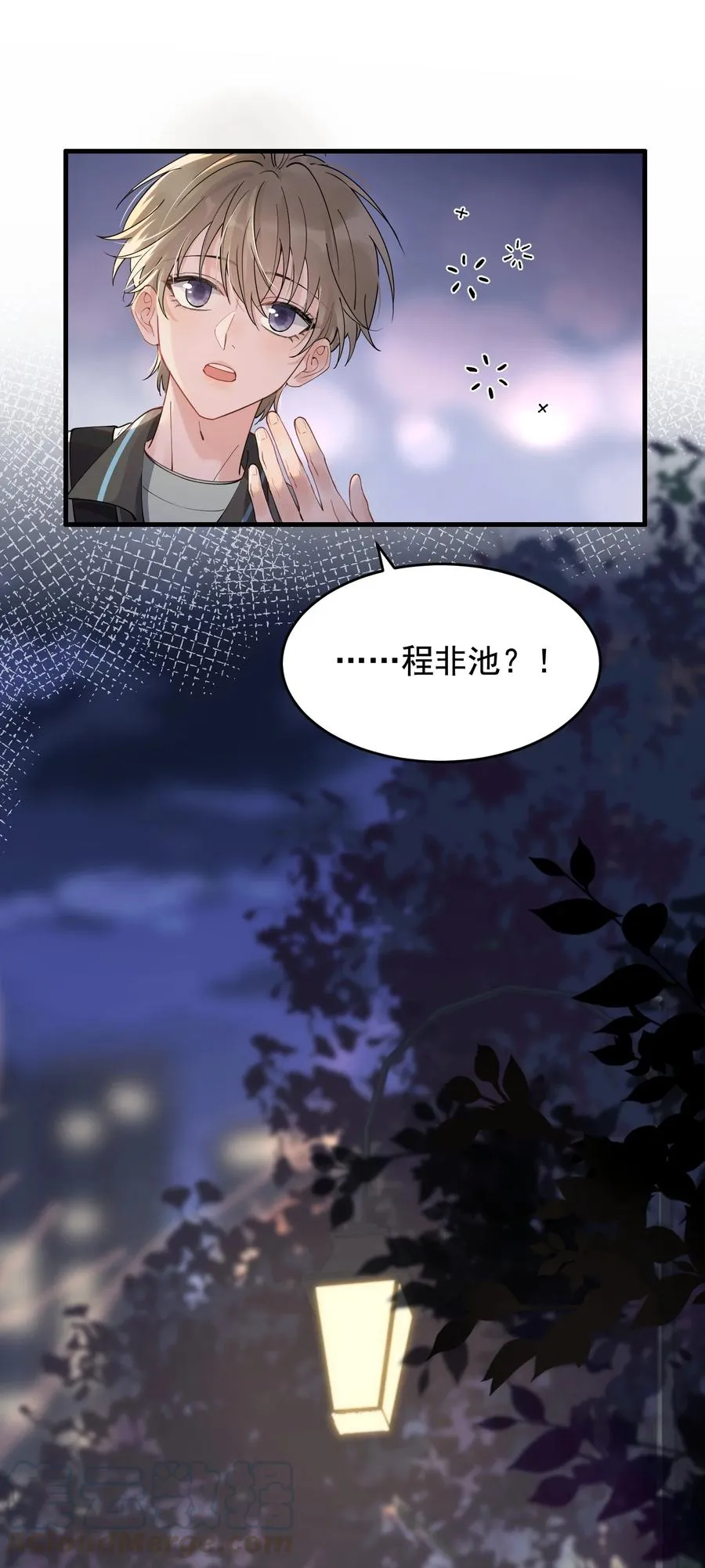 042 给他的爱称 第19页