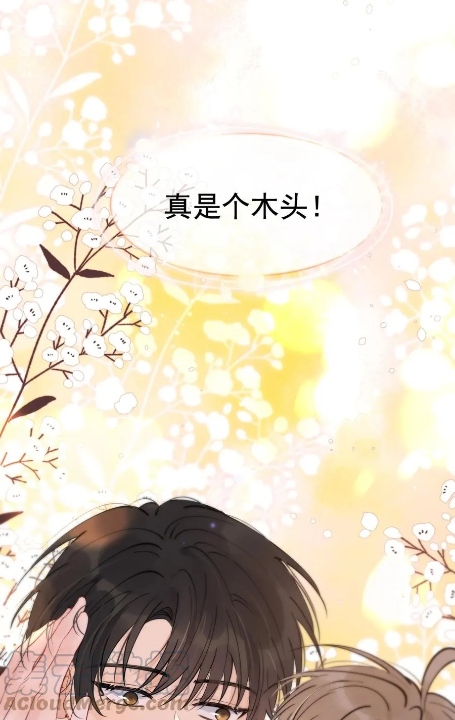 048 真是个木头！ 第16页
