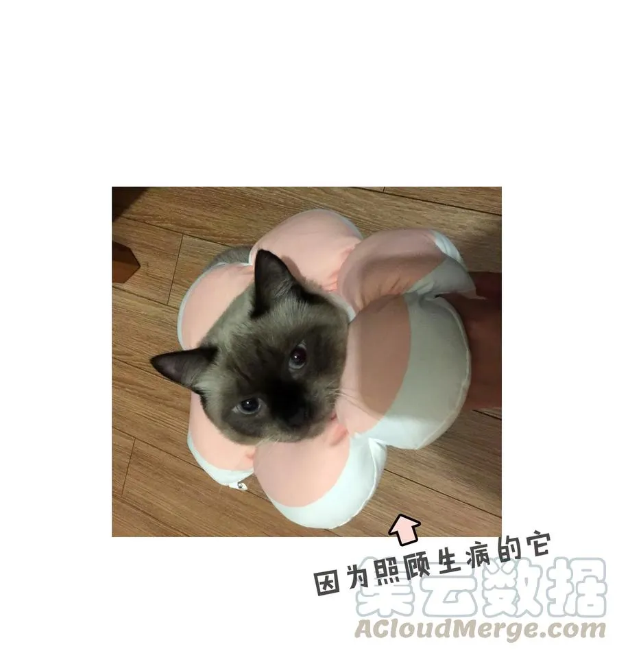 延迟 更新通知 第1页