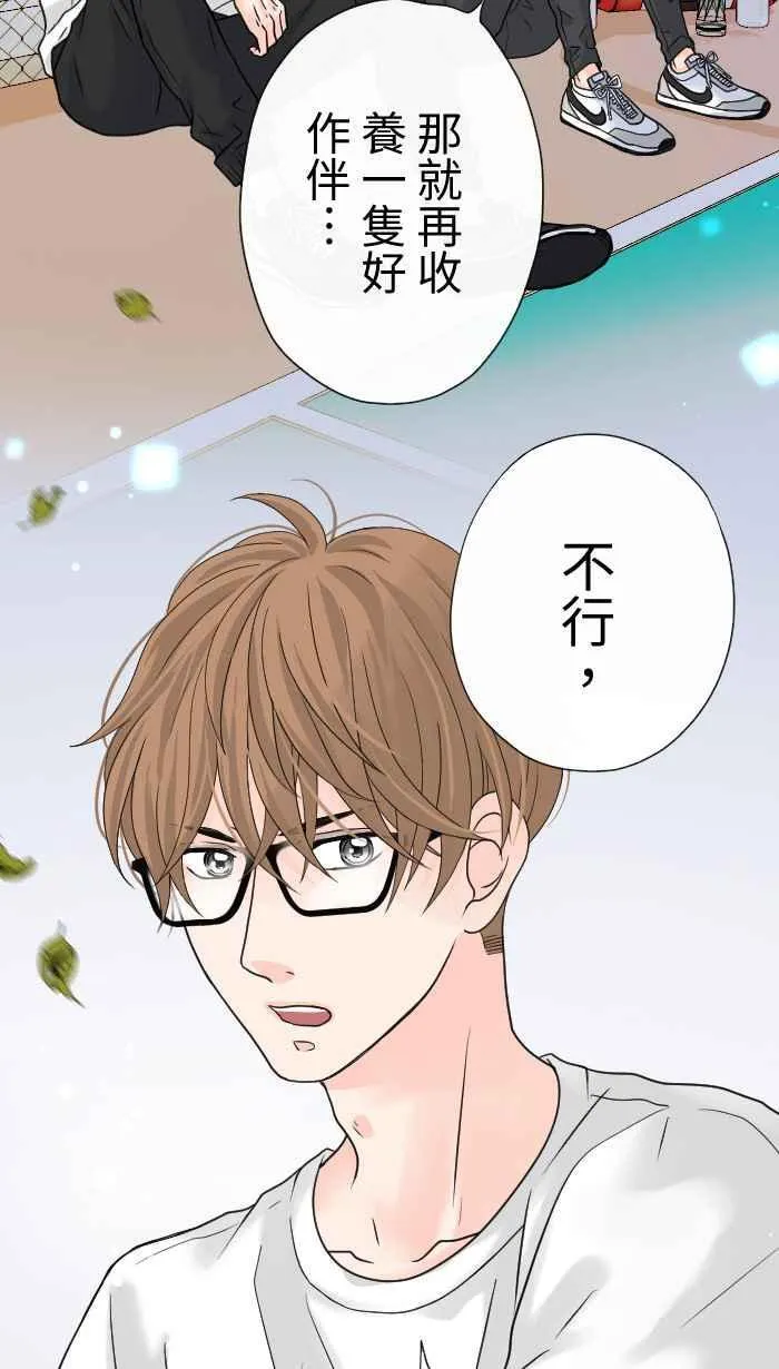 Episode 08 第17页