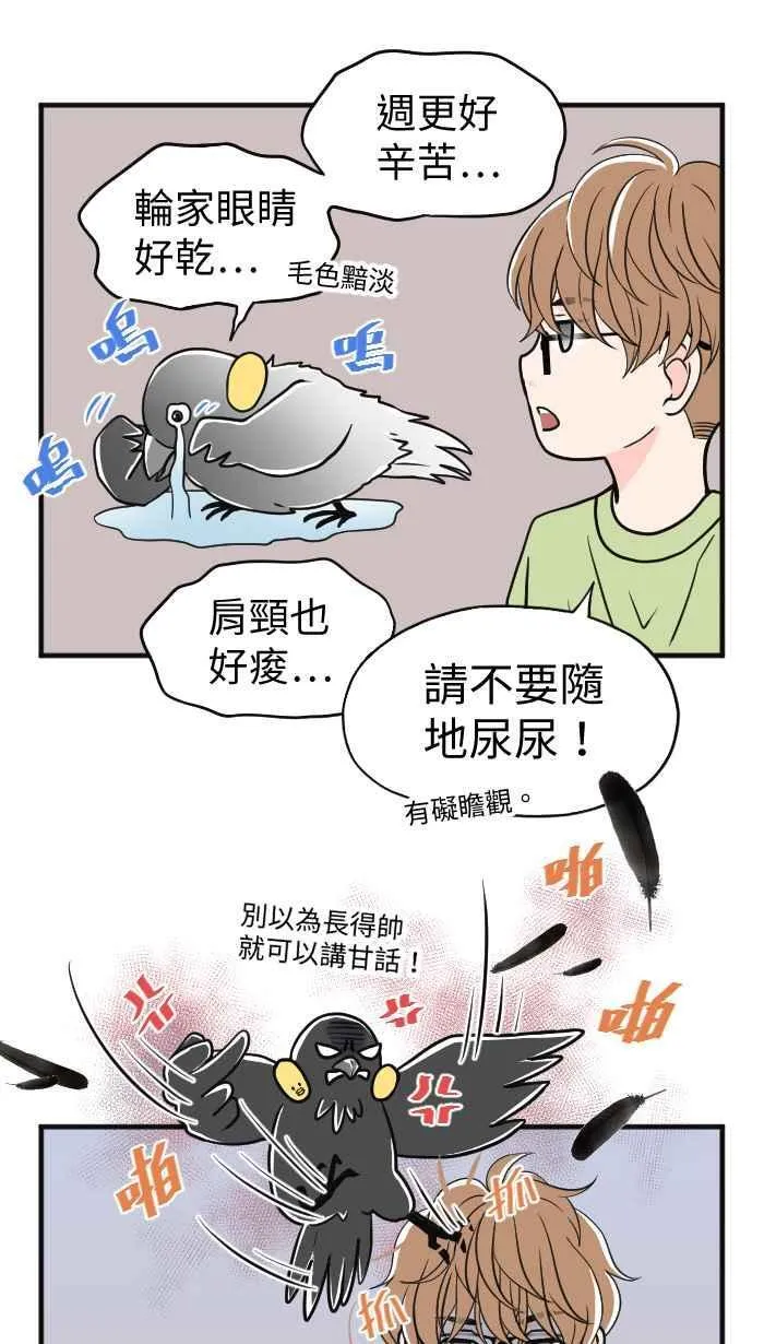 休刊花絮（下） 第14页