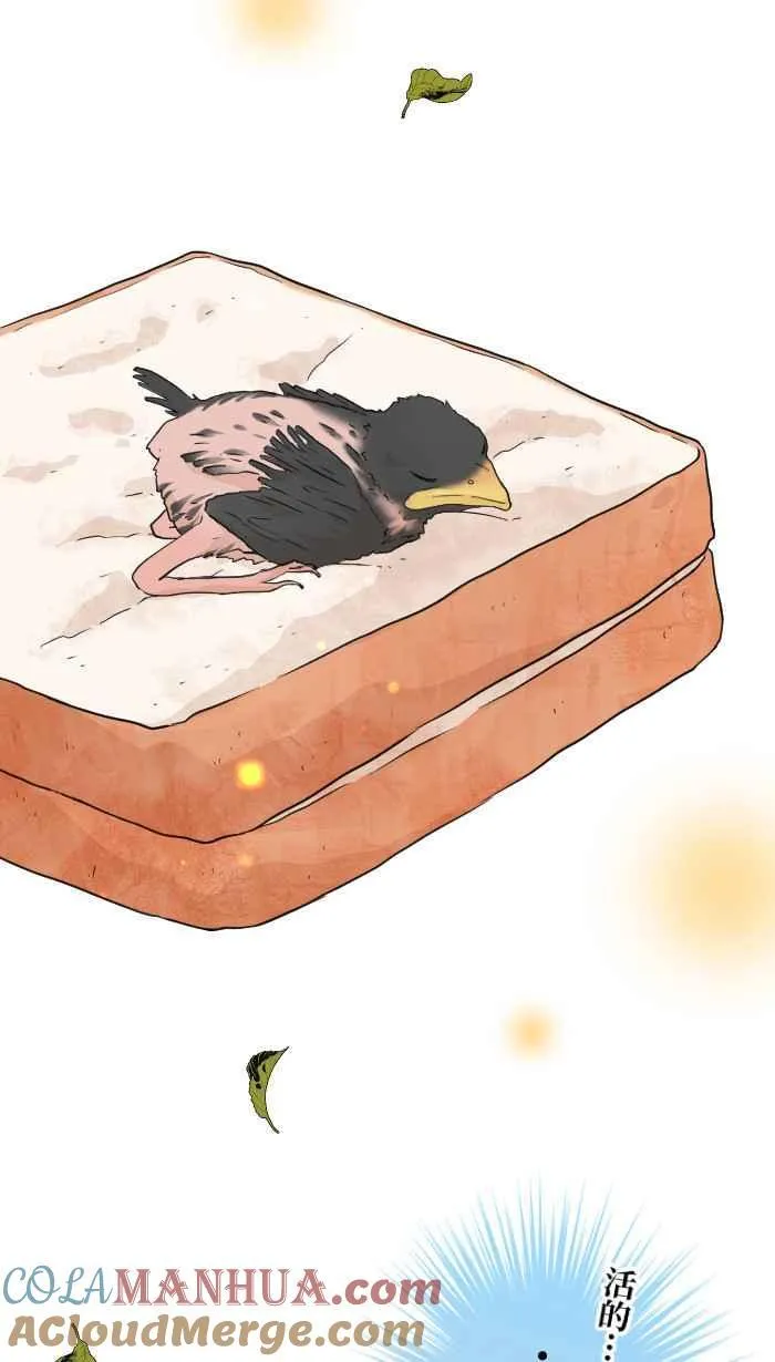 Episode 40 第31页