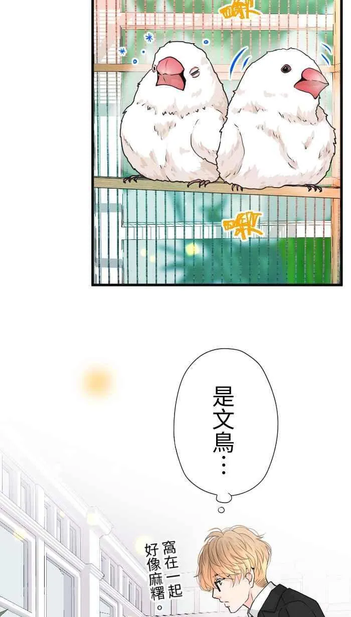 Episode 40 第65页