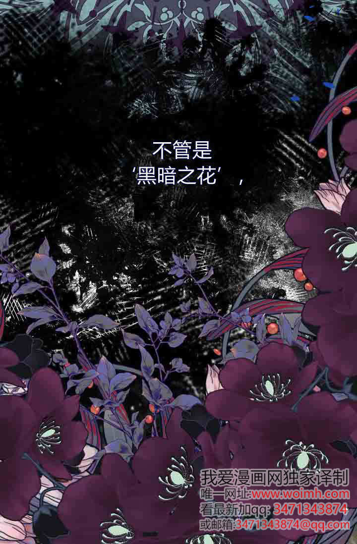 第52话 第2页