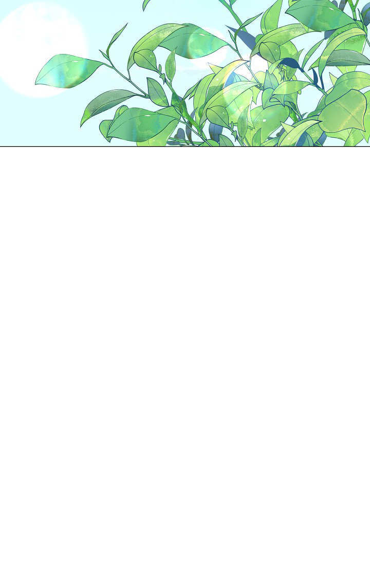 第52话 第62页