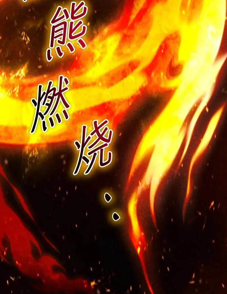 5.炎塔塔主 第29页