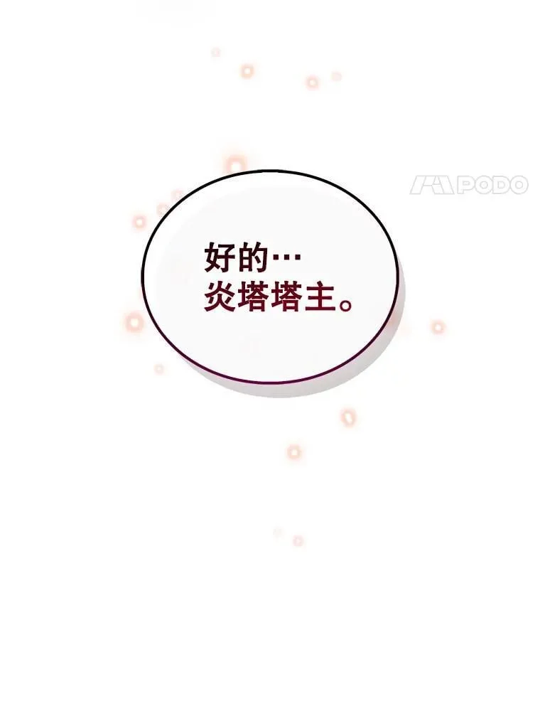 5.炎塔塔主 第113页