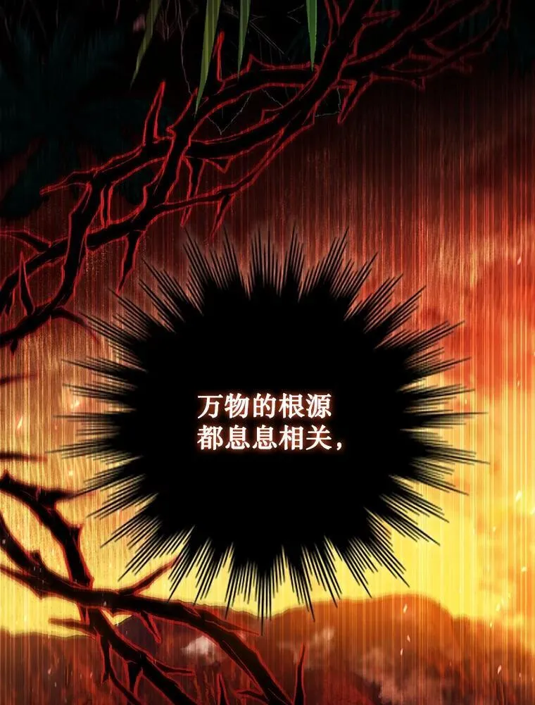 16.精灵之门 第137页