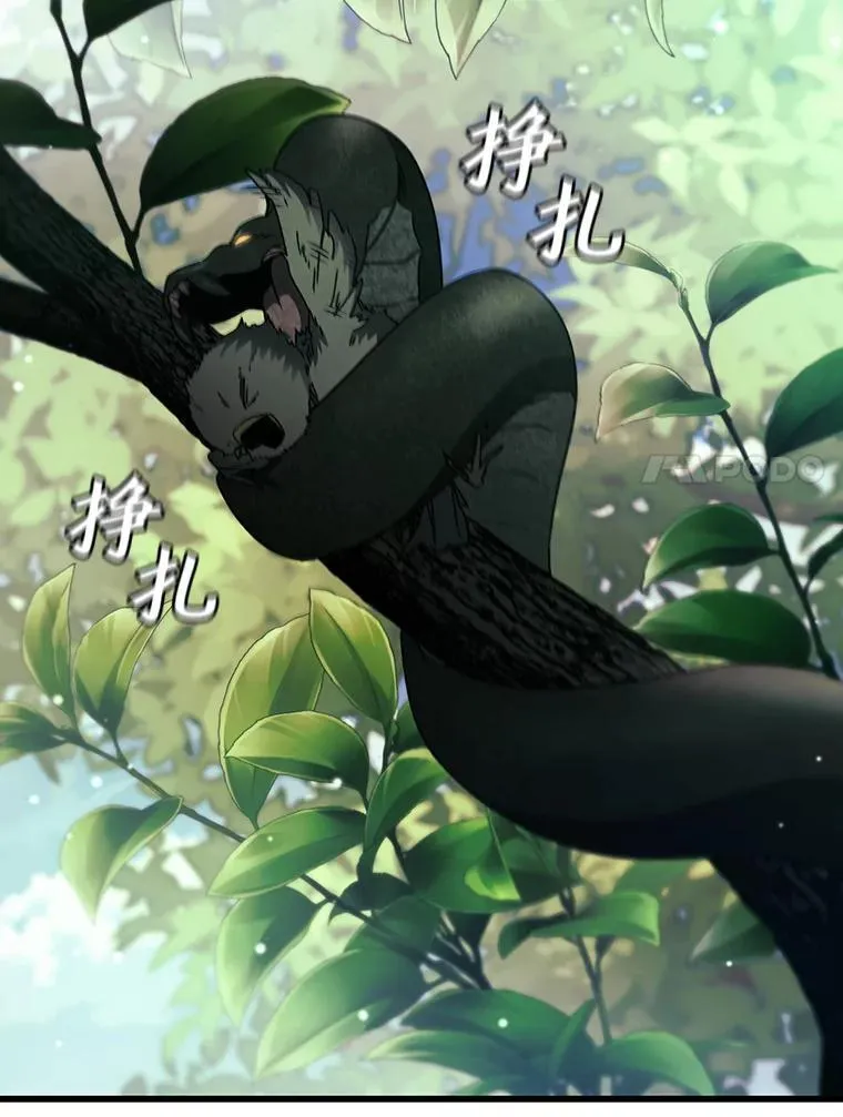20.塔之选拔 第62页
