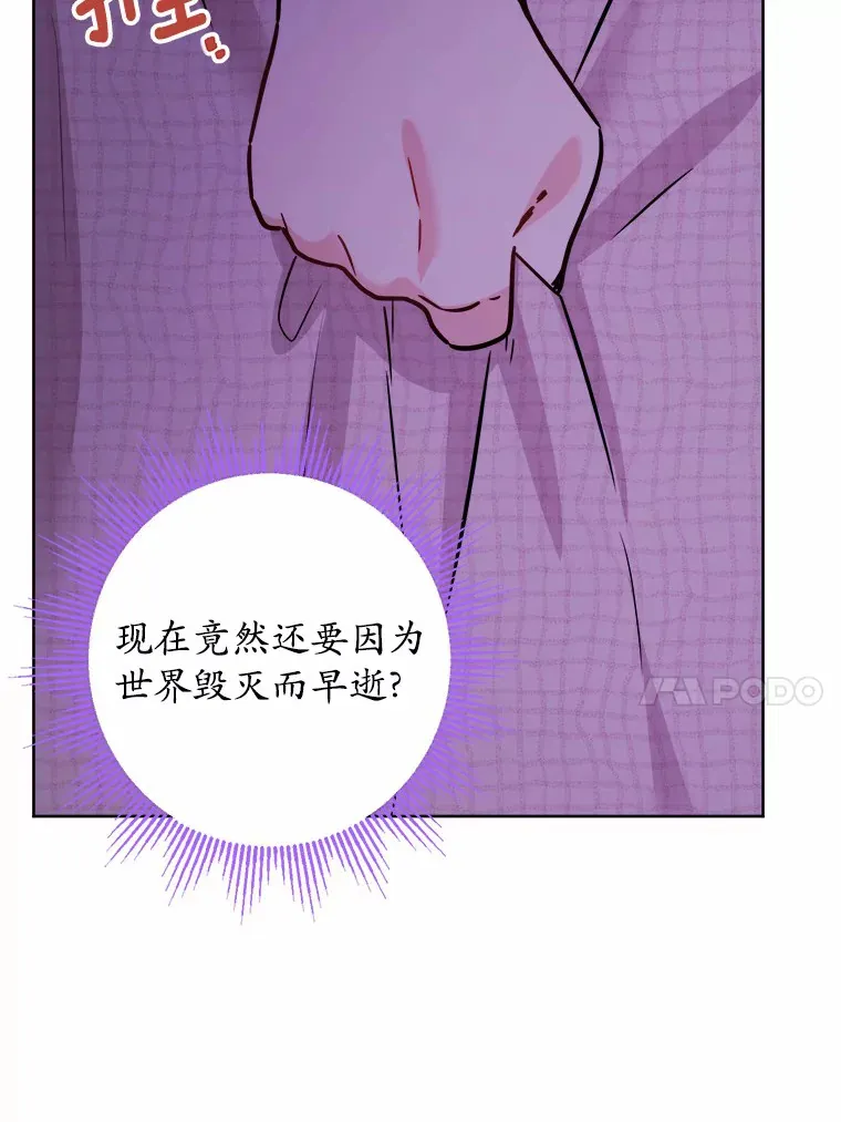 8.即将毁灭的世界 第26页