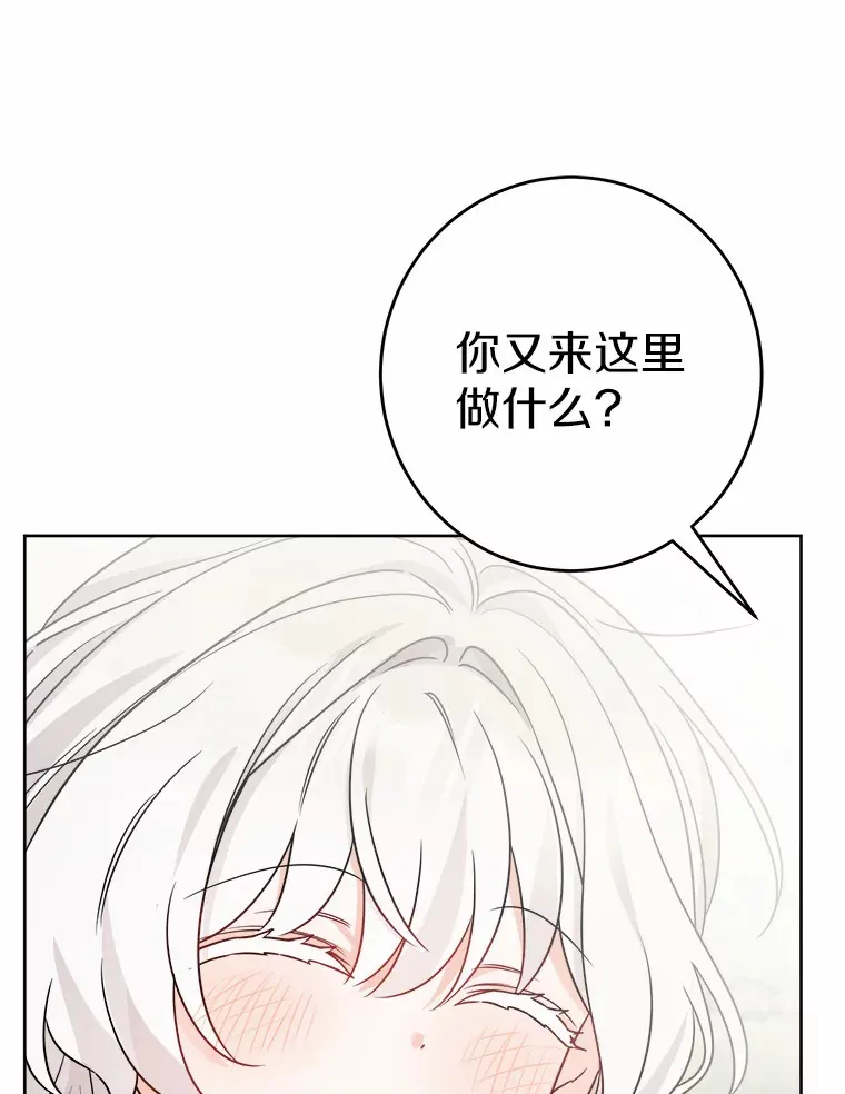 8.即将毁灭的世界 第37页