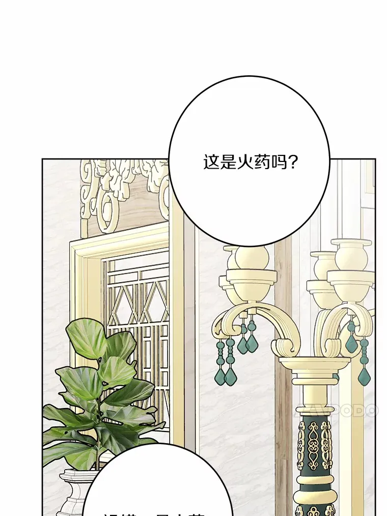 12.火药瓶里的秘密 第13页