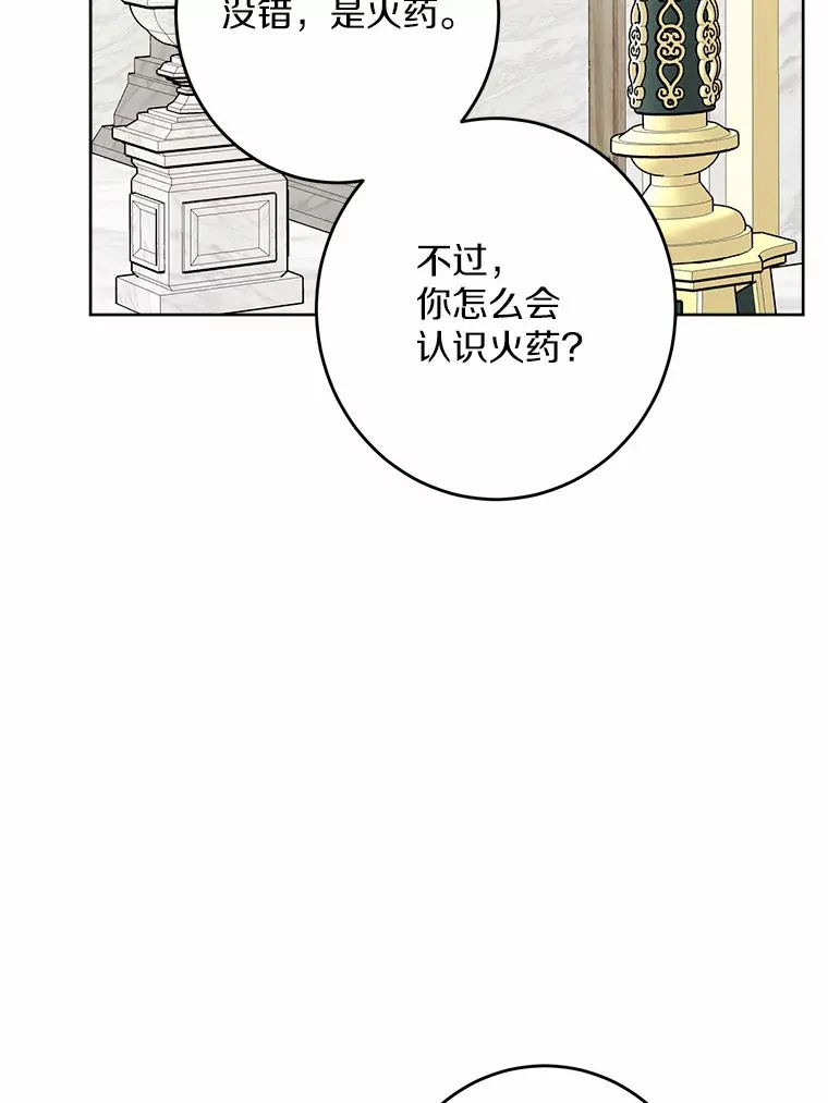 12.火药瓶里的秘密 第14页