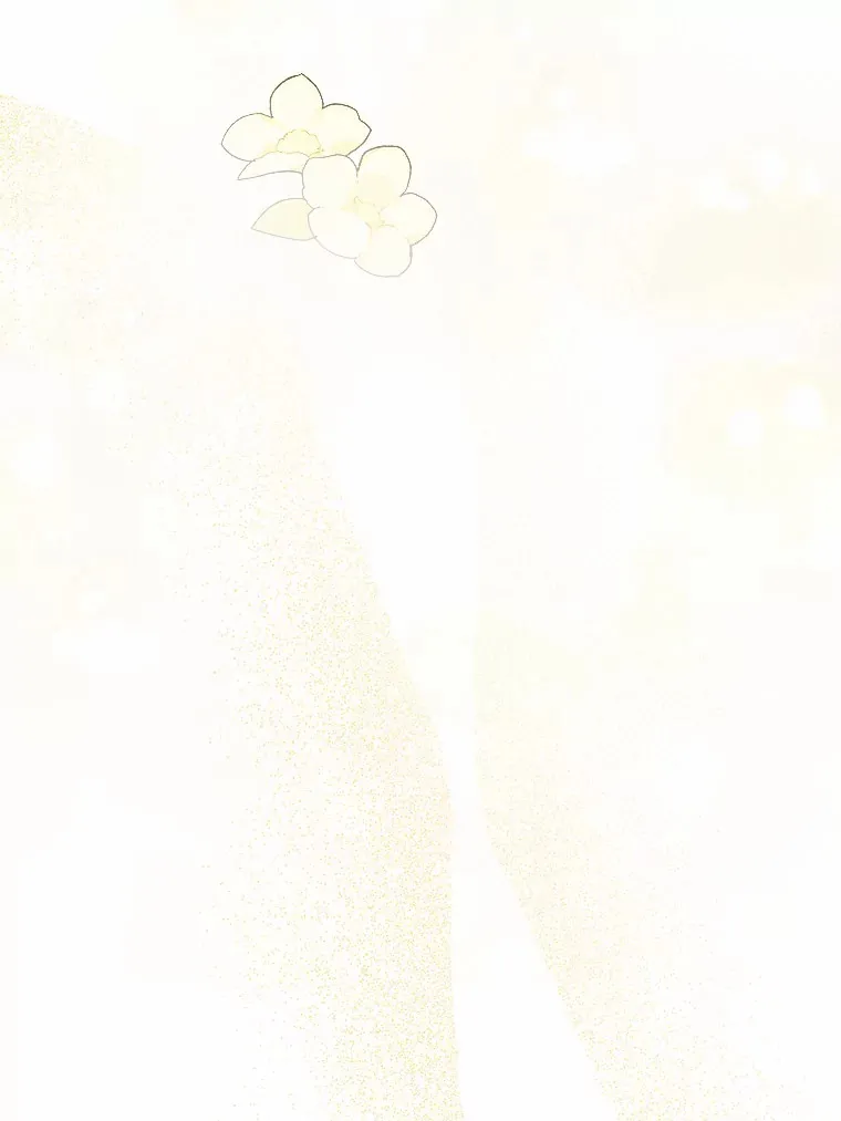 27.来路不明的财富 第88页