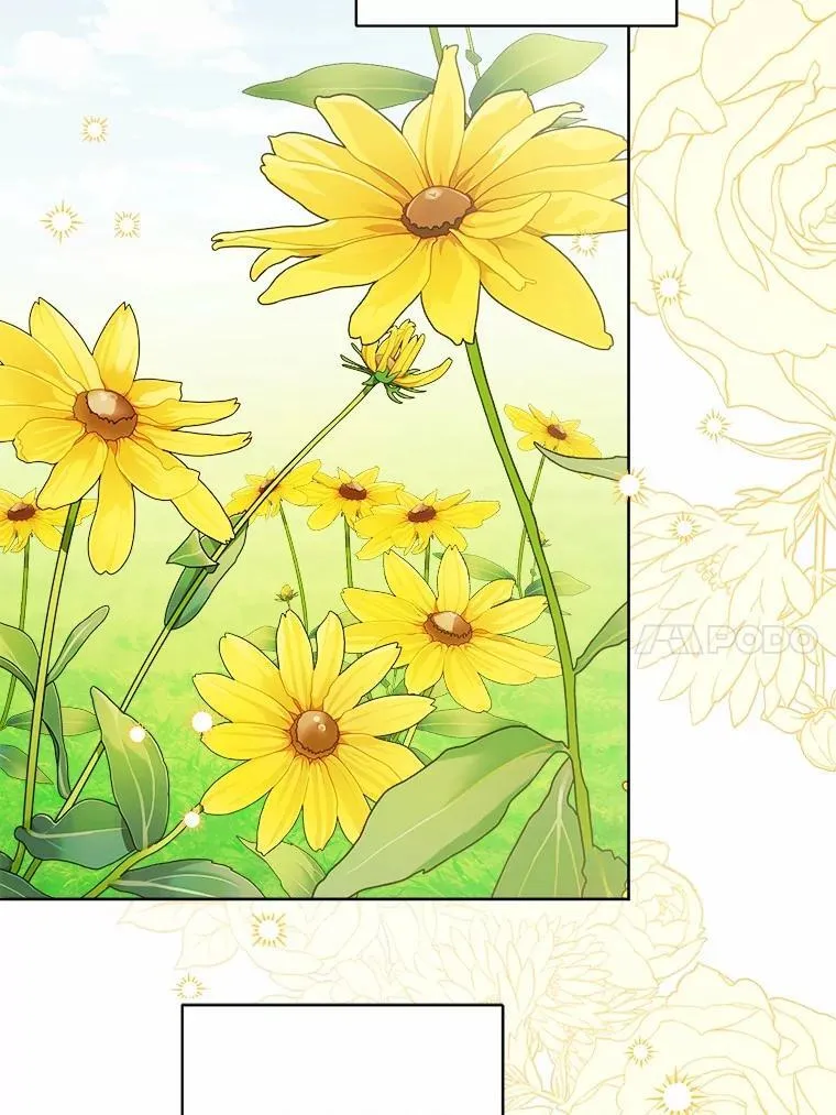 45.我怀念的夏天 第86页