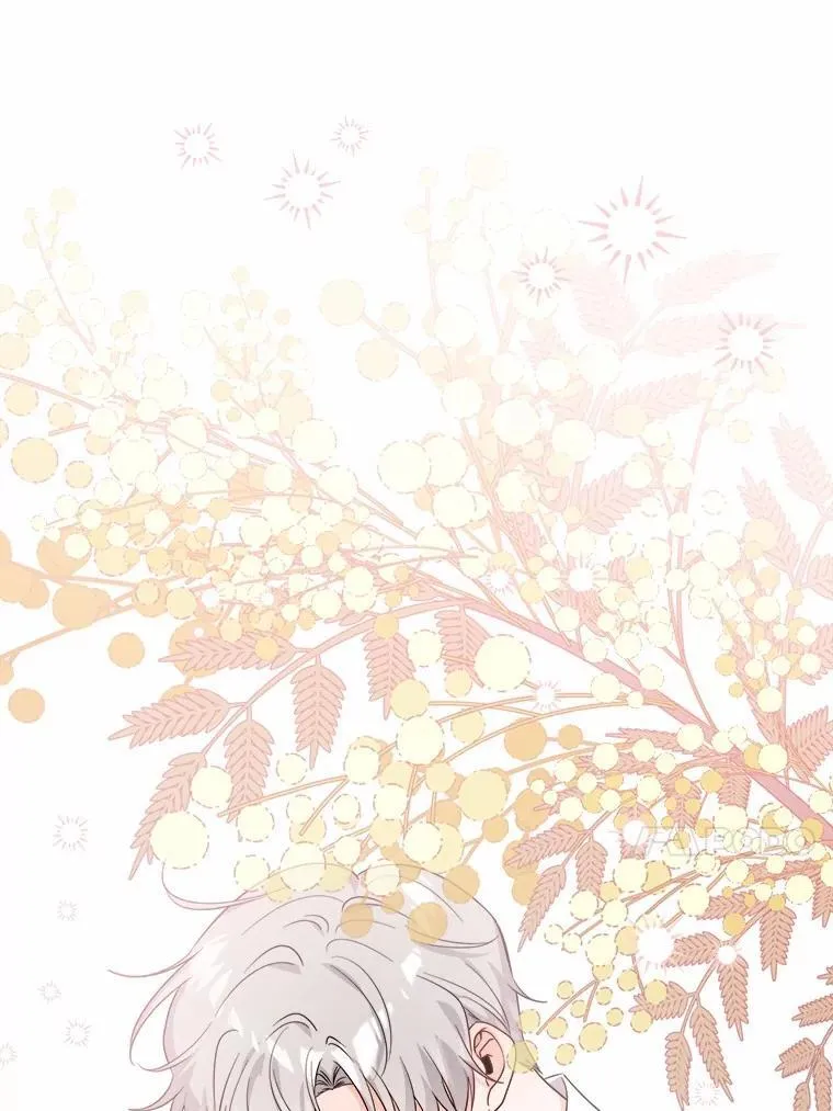 71.骗局 第46页