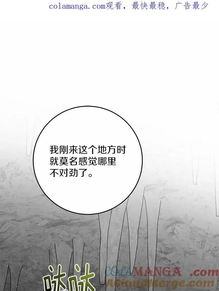 74.艾婕尔的身份 第1页