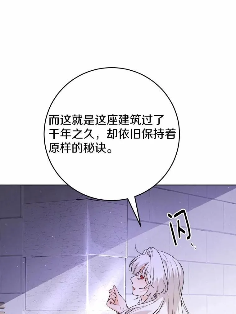 74.艾婕尔的身份 第27页