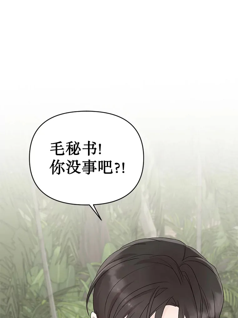 6.合力摘果 第3页
